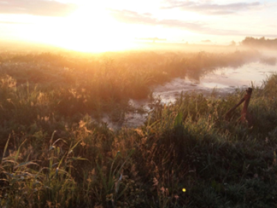 Zonsopkomst in De Nije Mieden