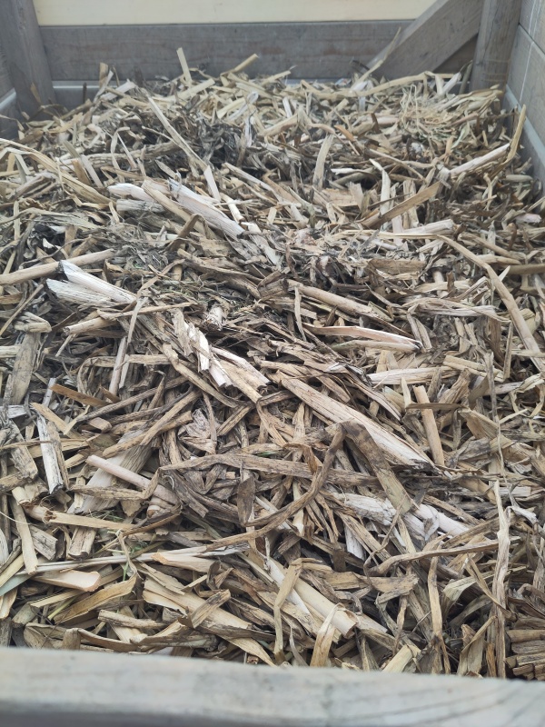 biosintrum