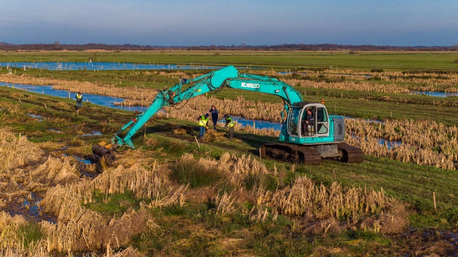 Kraan op lisdodde proefveld  de Hege Warren