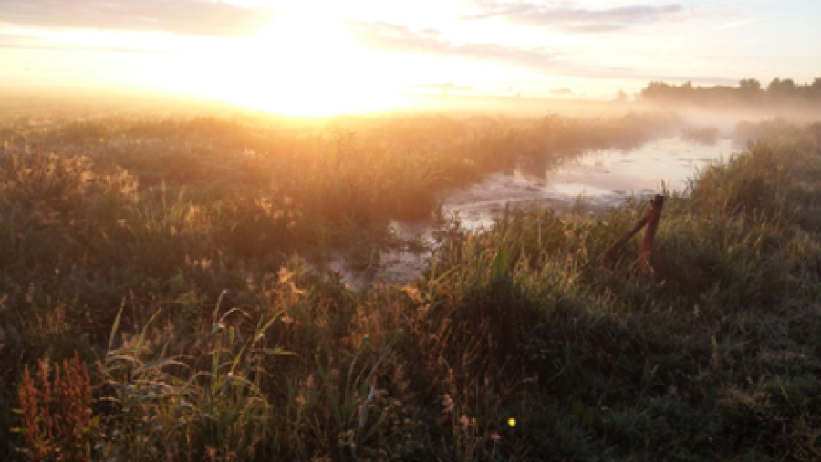 Zonsopkomst in De Nije Mieden