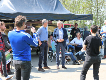 Eerste Friese veenboer start met lisdoddenteelt