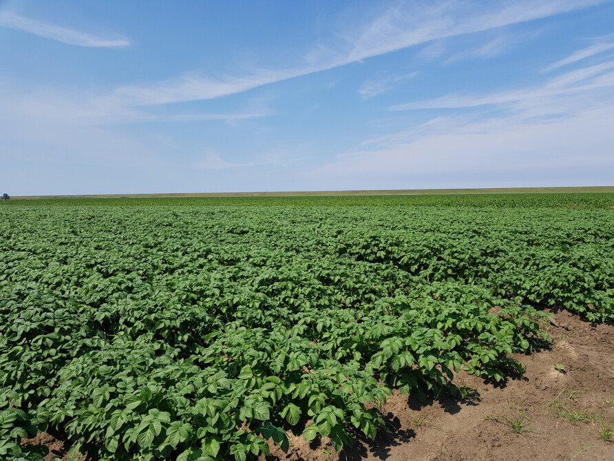 Bodem en humane gezondheid Foto Petra Boorsma Biosintrum