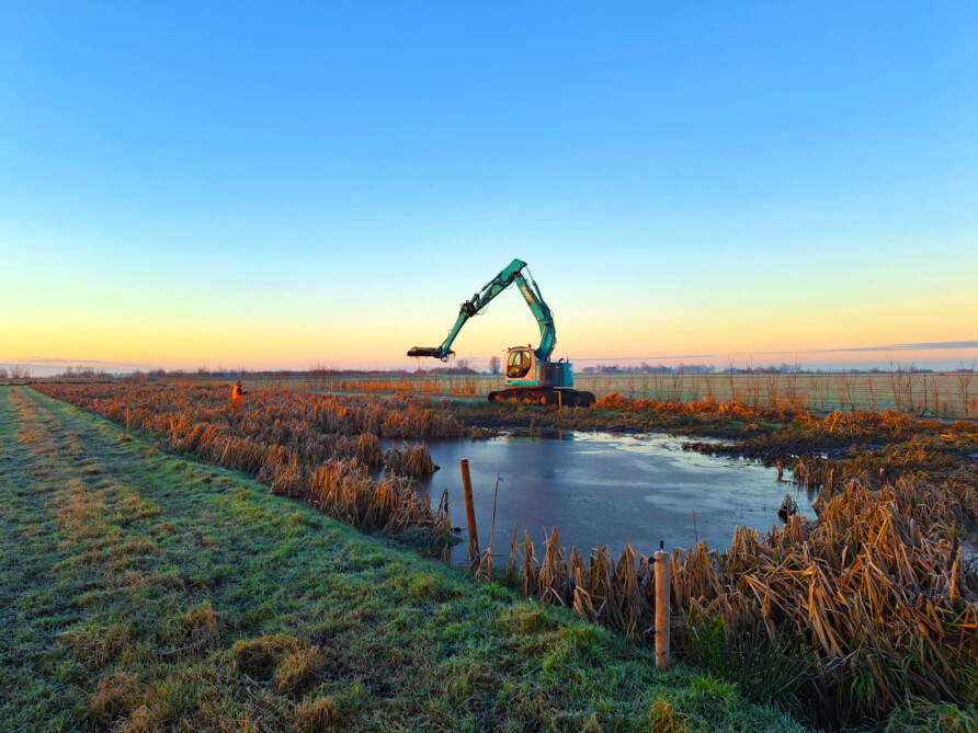 Kraan met sloothark oogst lisdodde op een winters veld