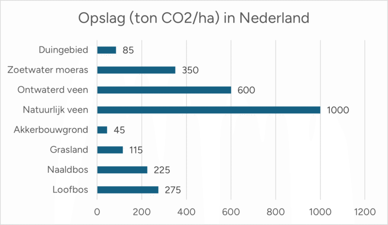 Opslag ton co2 per hectare in Nederland