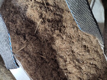 gedroogde lisdodde van de experimenteerlocatie Hegewarren