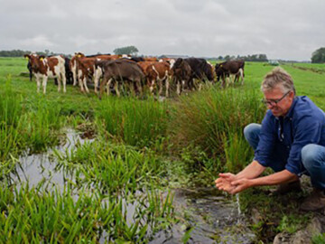 Sjoerd Miedema bij een sloot en jongvee