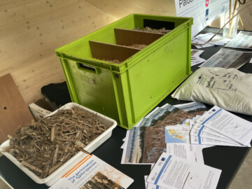 Voorbeelden van potgrond met lisdodde Foto Marit Post