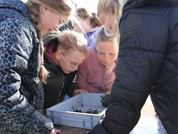 Week vande CE 2026 19