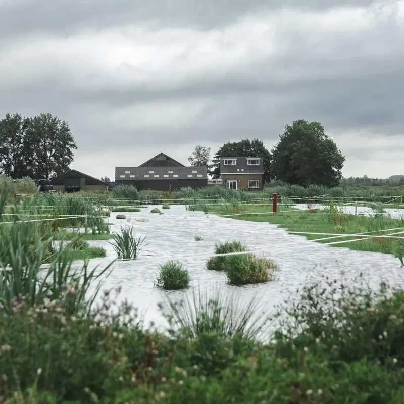 Boerderij op de Hegewarren met gansafwering