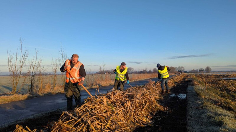 Projectpartners Tjeerd Veenhoven (links voor) en Petra Boorsma (links achter) steken de handen uit de mouwen.