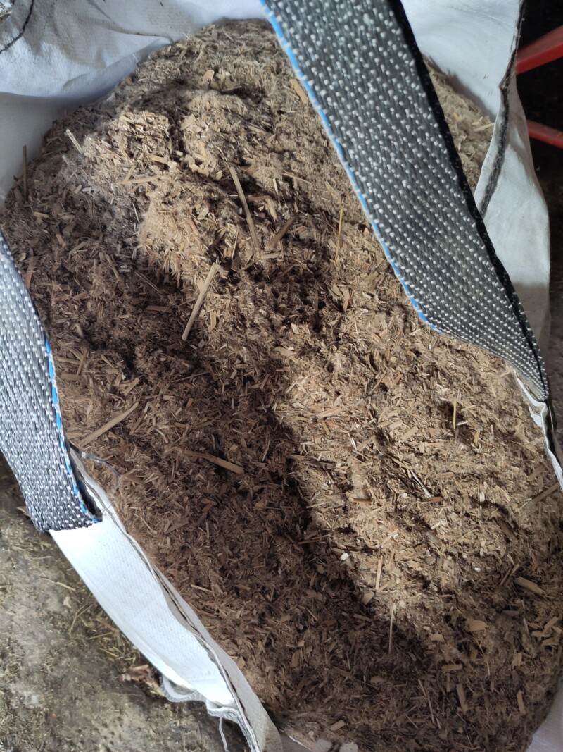 gedroogde lisdodde van de experimenteerlocatie Hegewarren