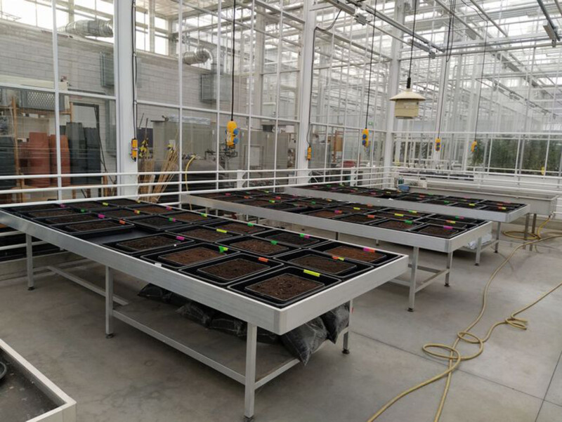 Opzet van de groeiproef Bron Koen Brouwer