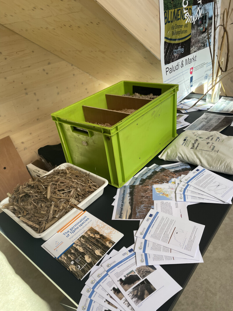 Voorbeelden van potgrond met lisdodde Foto Marit Post