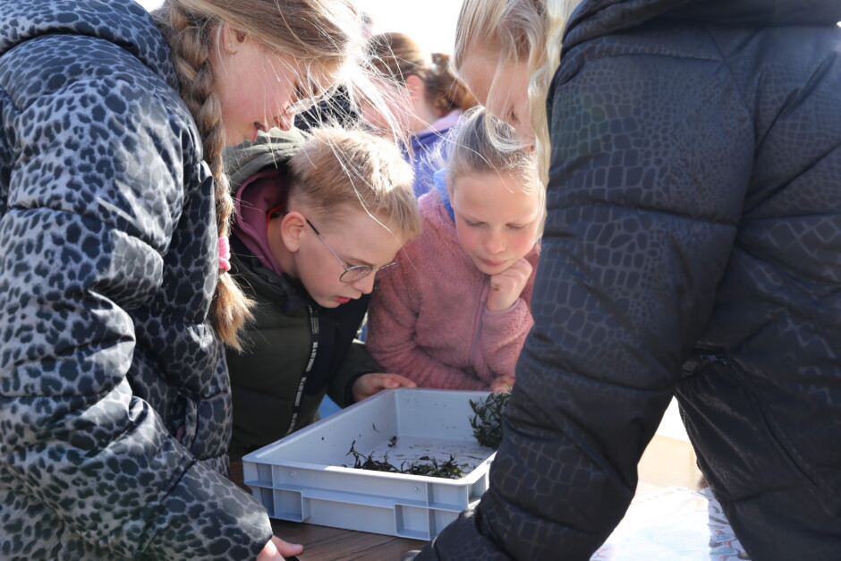 Week vande CE 2026 19