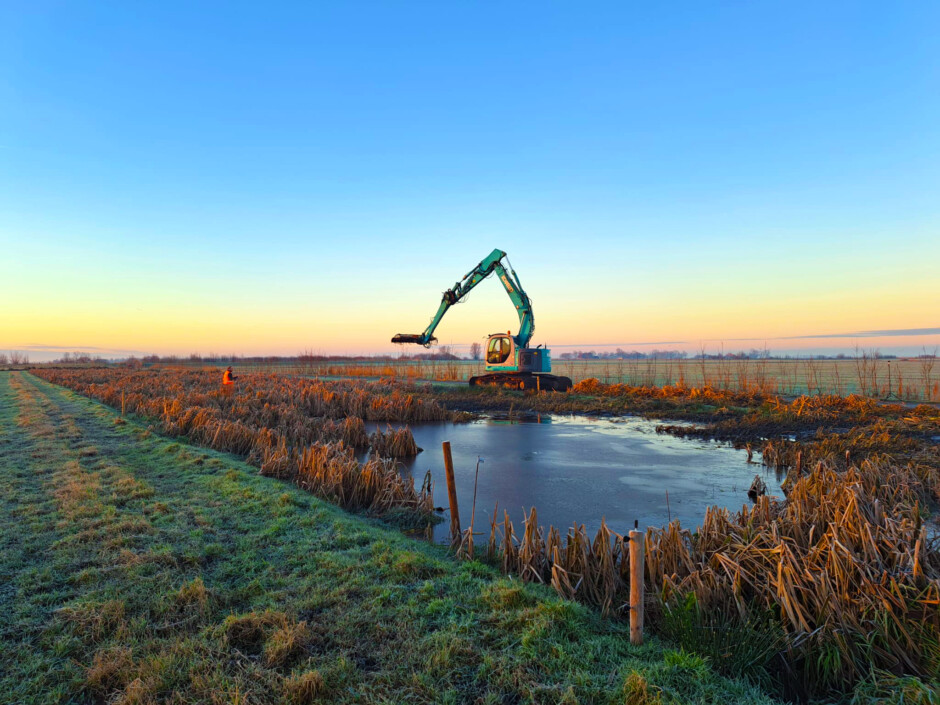 Kraan met sloothark oogst lisdodde op een winters veld