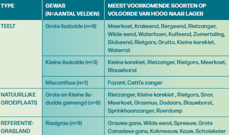 Ontwikkelingen van de vogels in paludicultuur