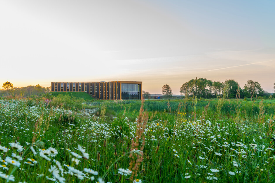 Het Biosintrum in zomerse bloemenzee.