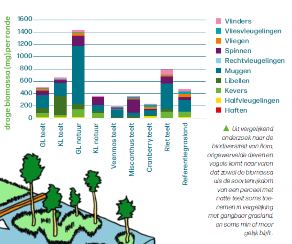 Uit VIPNL Natte teelten op veen wat kan op mijn grond september 2025