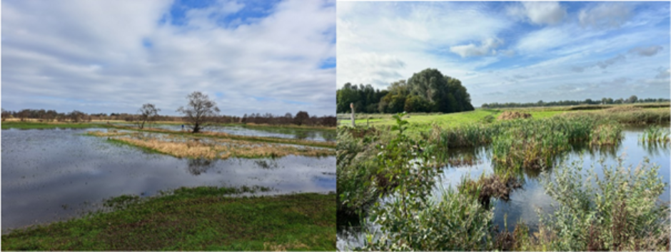 Voor en na Onnerpolder